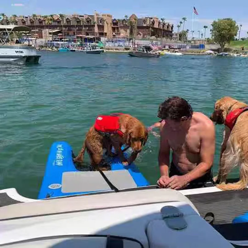 سلم عائم محمول قابل للنفخ للكلاب مع وسادة مضادة للانزلاق من مادة EVA للقوارب وحمامات السباحة والحيوانات الأليفة - لعبة مياه للكلاب #6