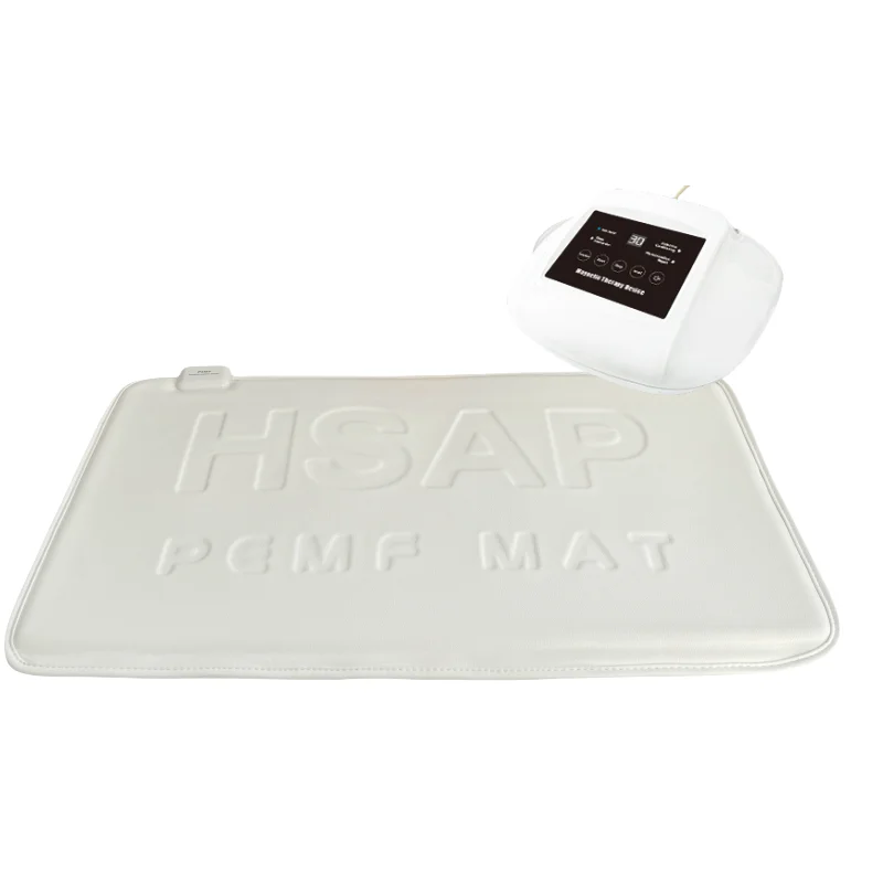 

Portable Veterinary Instrument for Painless Radiation-Free Treatment of Pet Joint Pain for Animals with Low Immunity