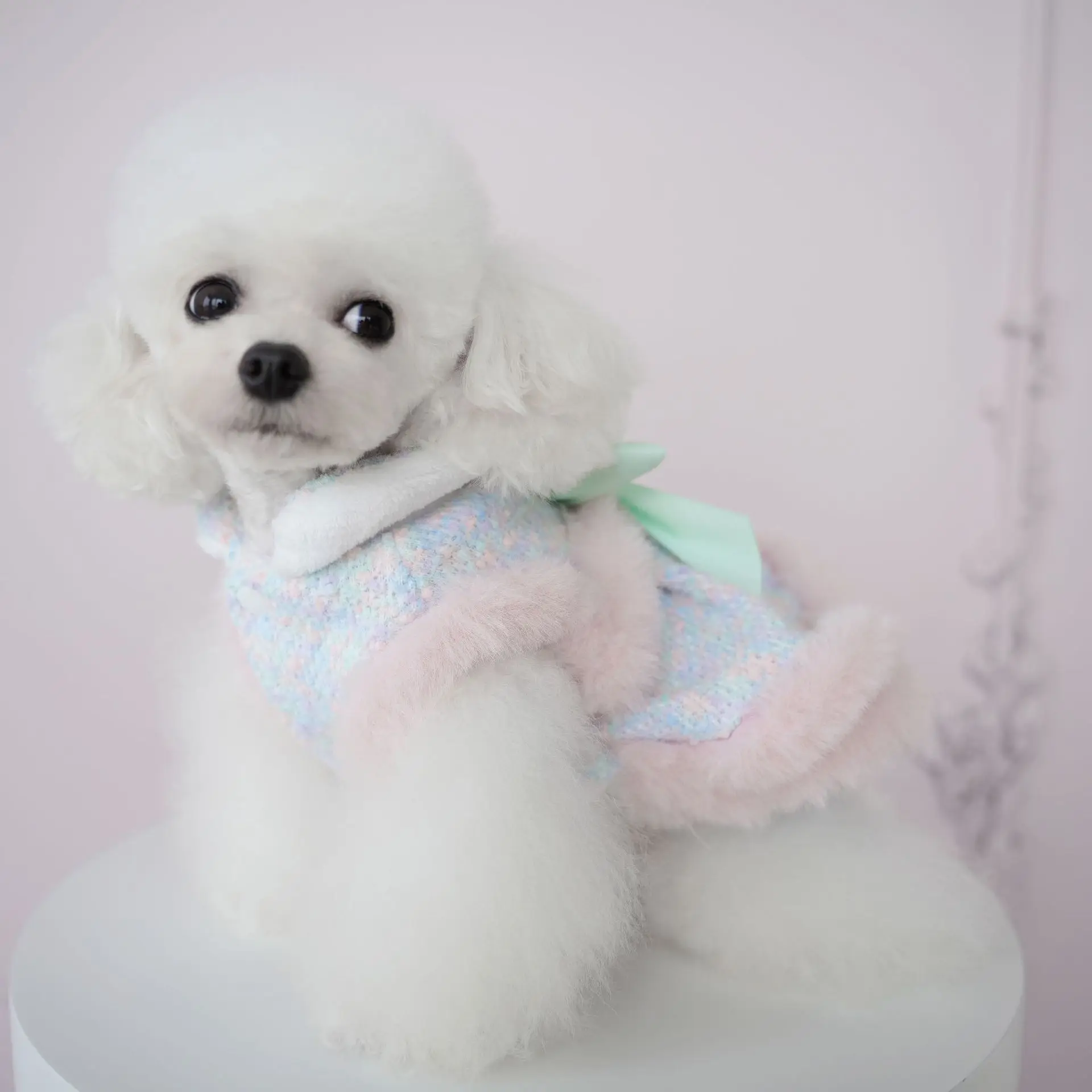 Pet Colorful Bow Set Skirt Autumn/Winter Bow Plush Coat Dress Warm Clothes Teddy Clothes Puppy Clothes for Small Dogs