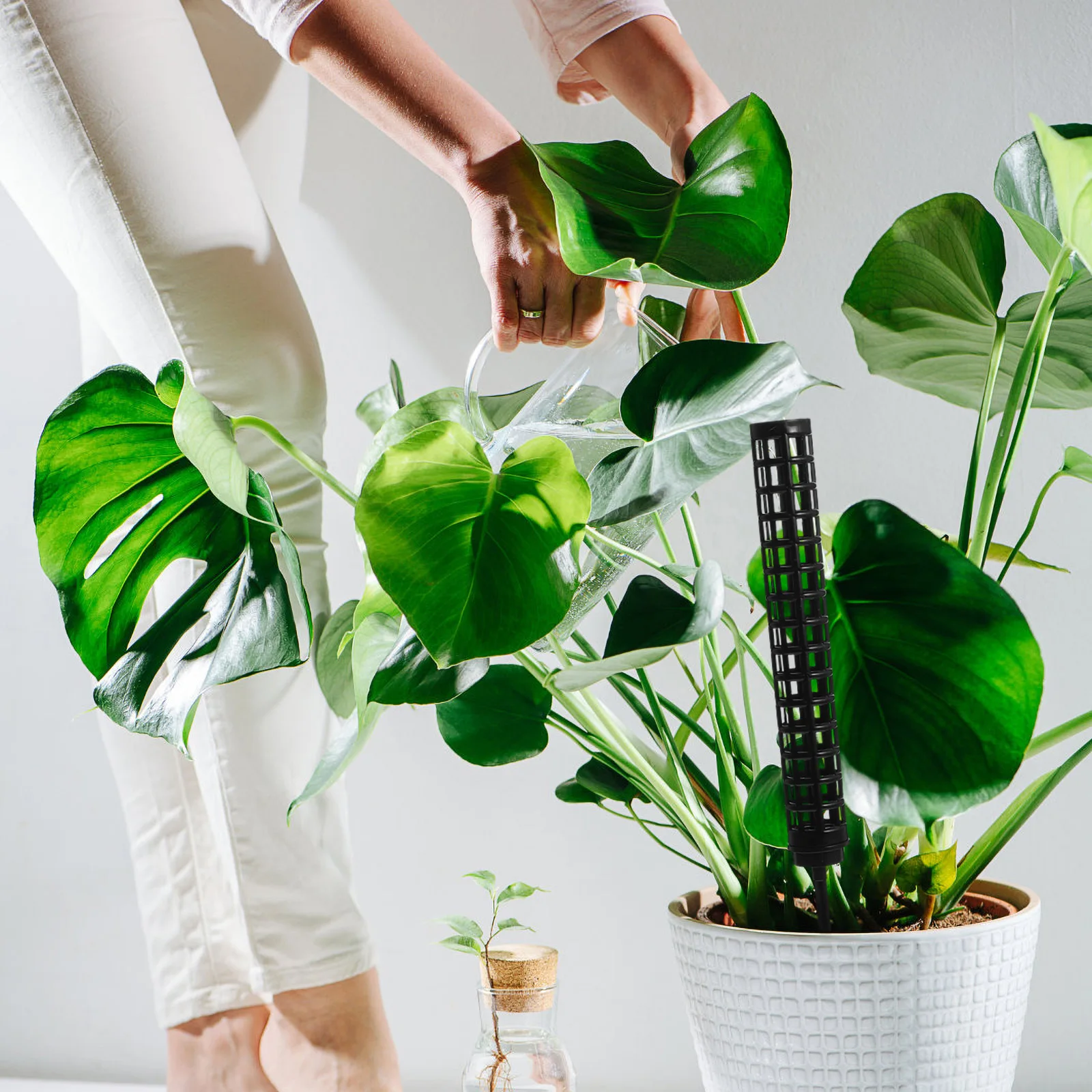 

2 шт. моховые стойки, колья для растений, подставка для скалолазания, многоразовая прочная виноградная лоза, садовая решетка, стойка для комнатных растений