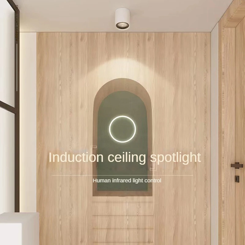 Menselijk Lichaam Inductie Schijnwerper Plafondsensor Licht Lamp Kamer Oppervlak Geïnstalleerd 12W Cob Downlight Verlichting