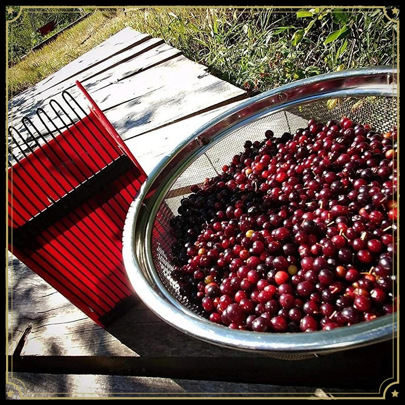 Hand‑Grip Small Berries Collecting Rake, Manual Orchard Gathering Aid For Blueberry & Wild Fruit Harvest Work