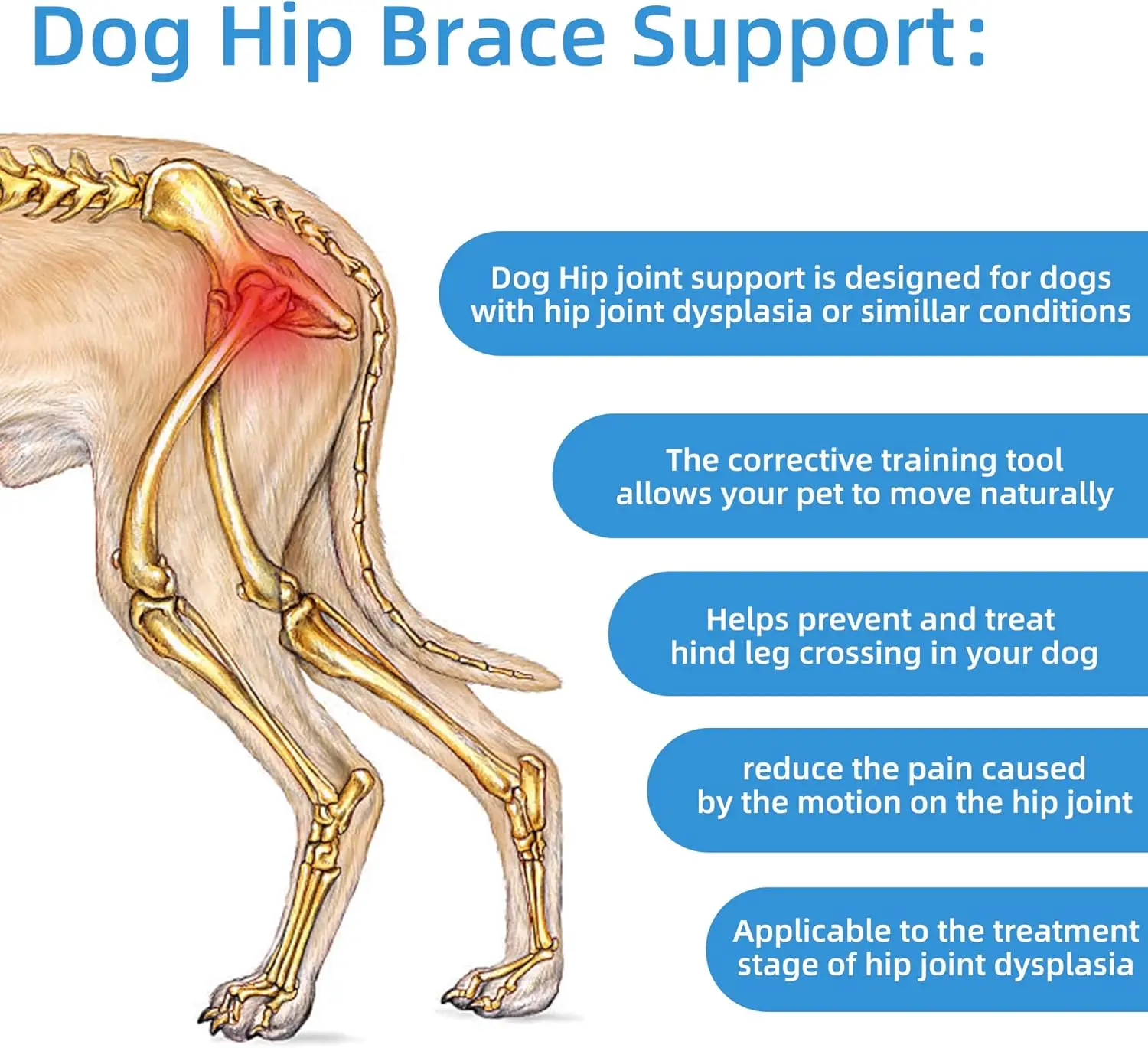 Dog Hip Brace for Hip Dysplasia - Adjustable Support Brace for Dog Arthritis & Joint Stability, Relieves Pain (Large)