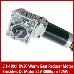 5:1-80:1 RV30 Worm Gear Reducer Motor Brushless DC Motor 24V 3000rpm 125W single output shaft