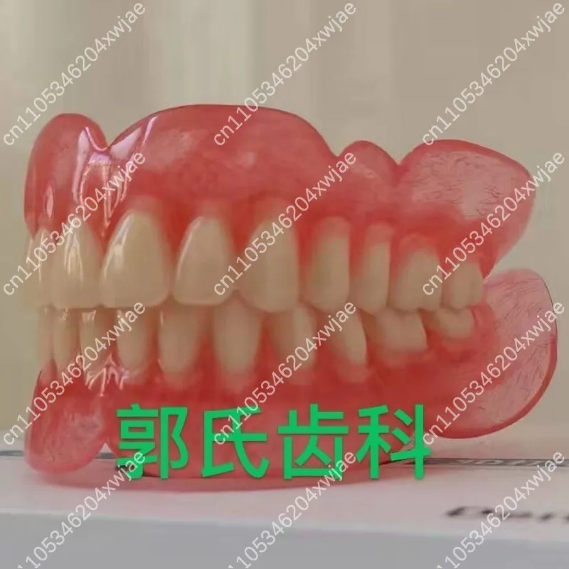 Elderly Full Mouth Removable Denture Model Dental Demonstration Display Mold Teaching Study False Teeth Equipment