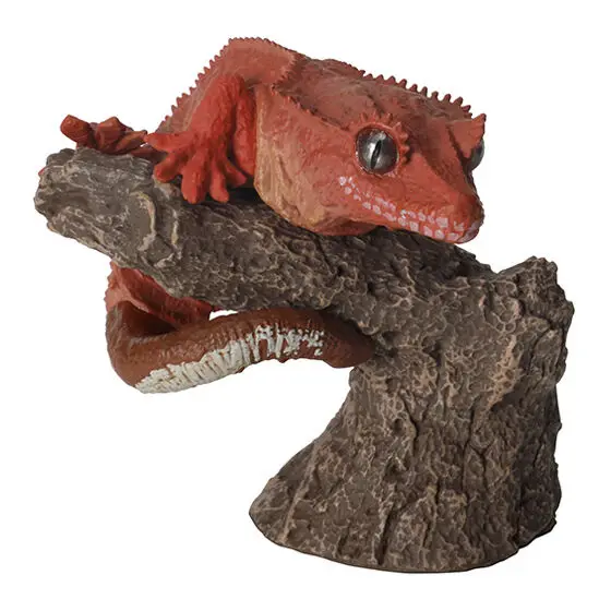 BANDAI-Gashapon Mini Figura Brinquedos, Guia Biomimético Animal, Lagartixa Leopardo, Colete Modelo em Estoque, Original