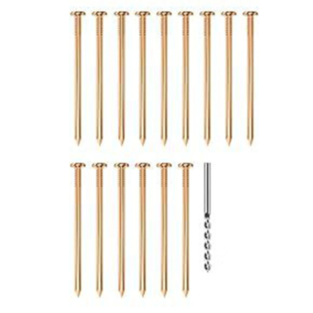 Chiodi in rame Uccidi alberi Stumps per alberi per unghie Rimuovi le chiodi Utilizzare 10 chiodi per tronchi più grandi e 5 chiodi per più piccoli, Realizzazione sicura