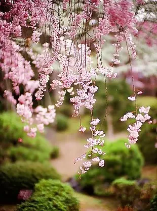 

90ml Creative Double Cocktail Glass Transparent Cup Beer Vodka Brandy Bar Restaurant Club Drinkware Decorations Bar Tool