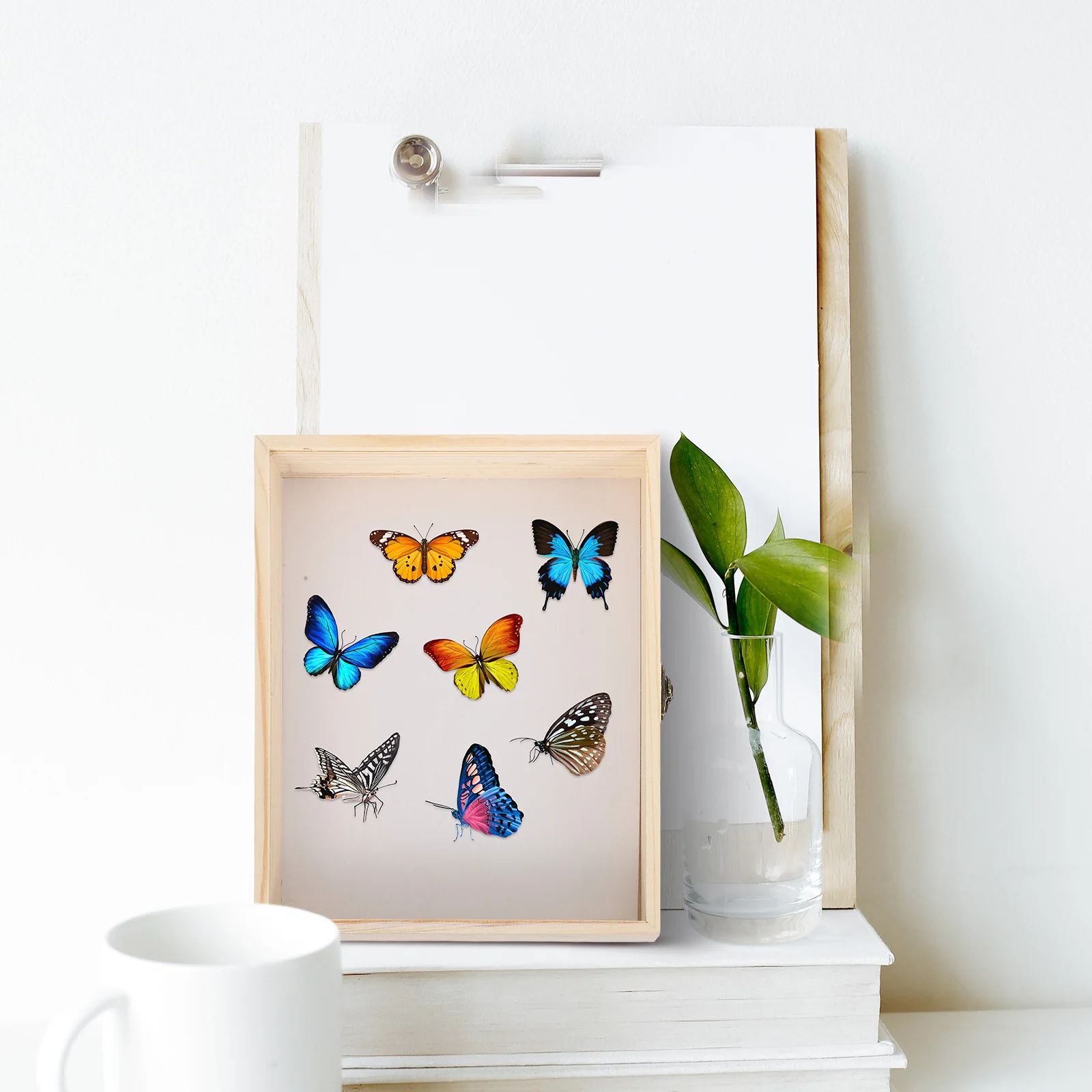 

26x20cm Insect Specimen Display Case Wood Frame Butterfly Preservation Box for Classroom Decor Collection Showcase Frame Kit