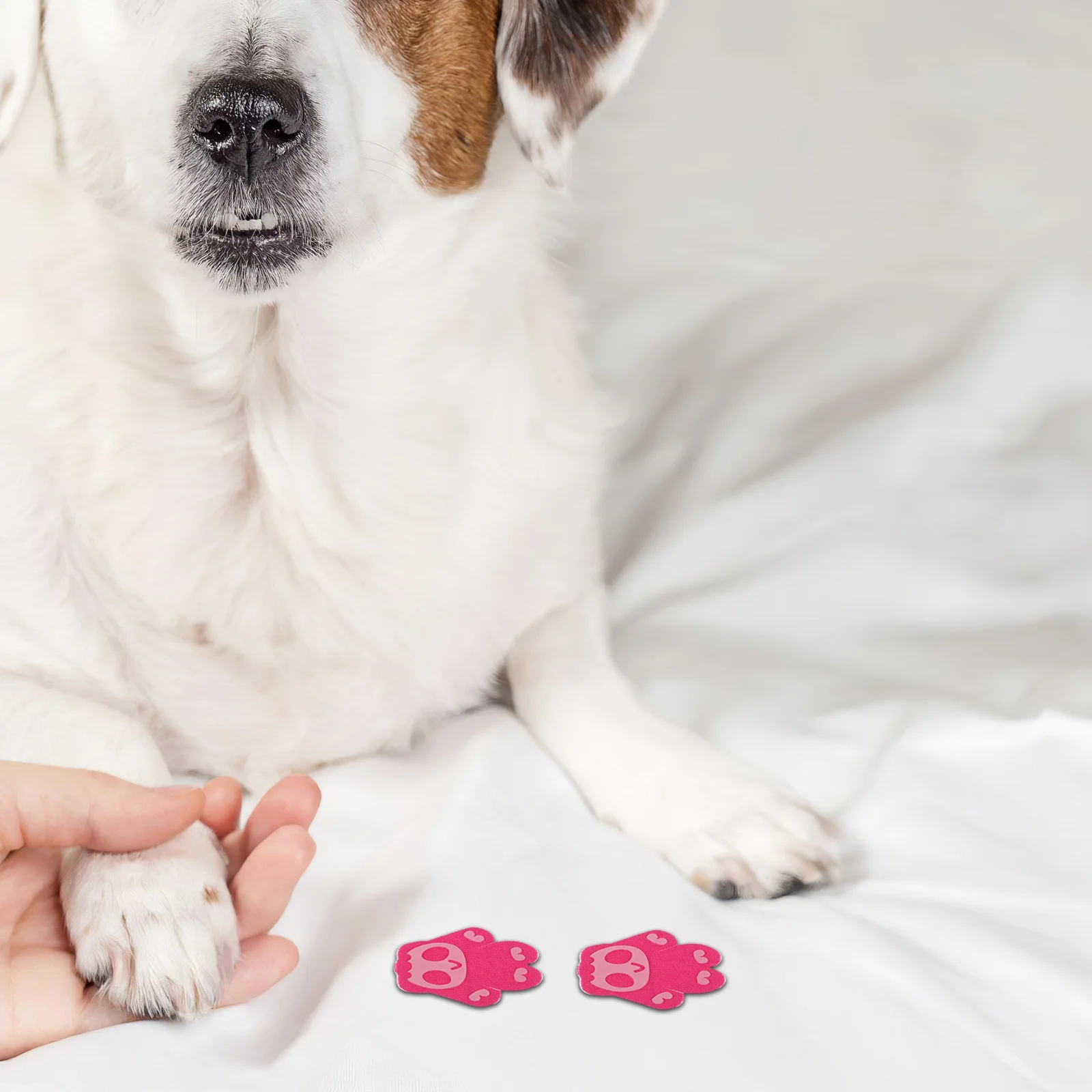 

40pcs Pet Paw Traction Pads Dog Anti-Slip Grips For Hardwood Floors Senior Dogs Comfortable Lightweight Protector Covers