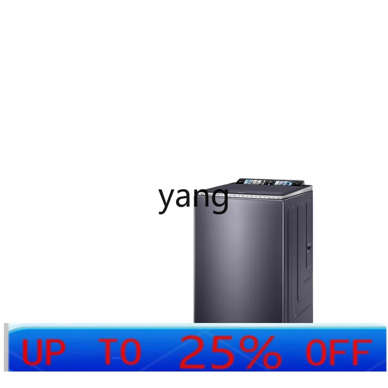 LH  flat embedded pulsator washing machine net R1 essence wash 10kg household automatic dual power