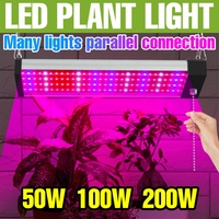 200W LED Grow Light Full Spectrum Quantum Board Hydroponics Plant Cultivation Lamp US/EU Plug For Indoor Greenhouse Tent Growbox