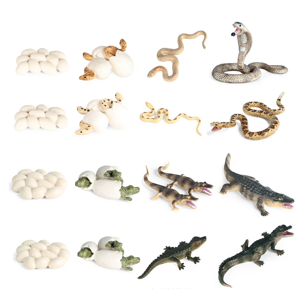 Conjunto de figuras de animales del ciclo de vida, figuras de animales de serpiente y cocodrilo, figuras de acción de Anime, animales de plástico para niños, juguetes novedosos
