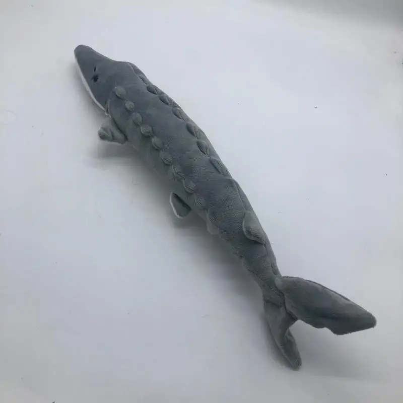 Simulation Chinese sturgeon dolls doll toys science and education toys fish Chinese sturgeon plush toys