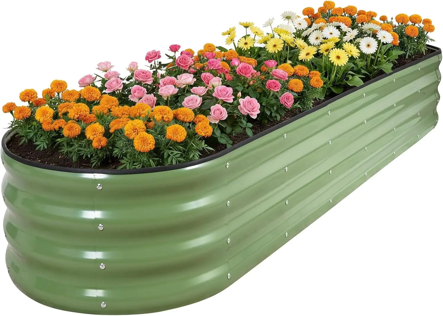 8x2x1ft Oval Raised Garden Bed - Galvanized Steel, Olive Green, with Support Rods & Corner Protection