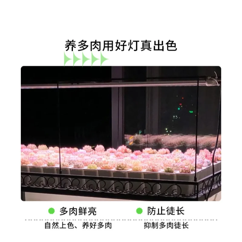led植物育成ライト、超薄型、全スペクトル、調光機能付き、タイマー機能付き、室内植物用、キャビネット下設置型、植物育成ランプ。
