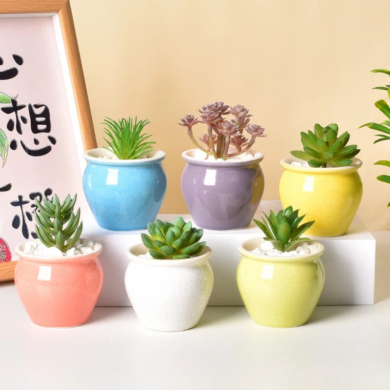 Macaron Ceramic Succulent Flower Pot Cactus Noodle Small Ornament Pottery Decoration Plant Creativity