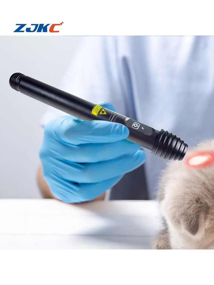 808nm 500mW Veterinary Cold Laser Pointer 1 Diodes Pet Pain Relief Pen for Dog Hip Dysplasia Anal Gland Inflammation Device