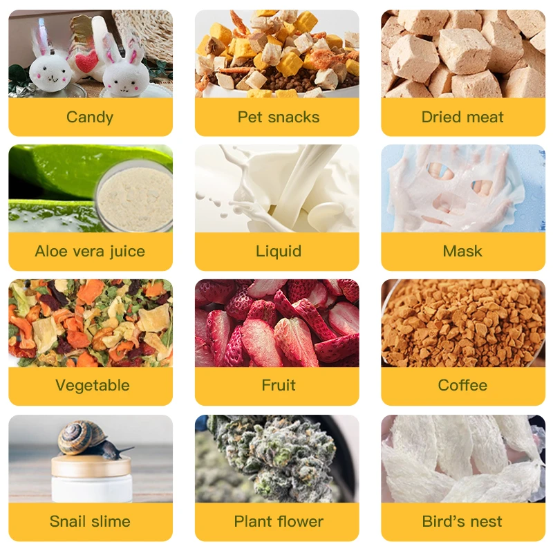 Food Vacuum Freeze Dryer Big Capacity Dryer Experience Large-Batch Freeze Drying Without Sacrificing Kitchen Space