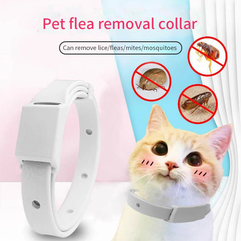 Anti Flea Tick Collar For Cat Small Dog Antiparasitic 8Month Protection Adjustable Puppy Kitten Collar Breakaway Pet Accessories