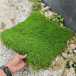 Artificial Moss Turf Simulation Fake Green Grass Moss Carpet Faux Lawn Muscus Bonsai Landscape DIY Outdoor Garden Deocraiton