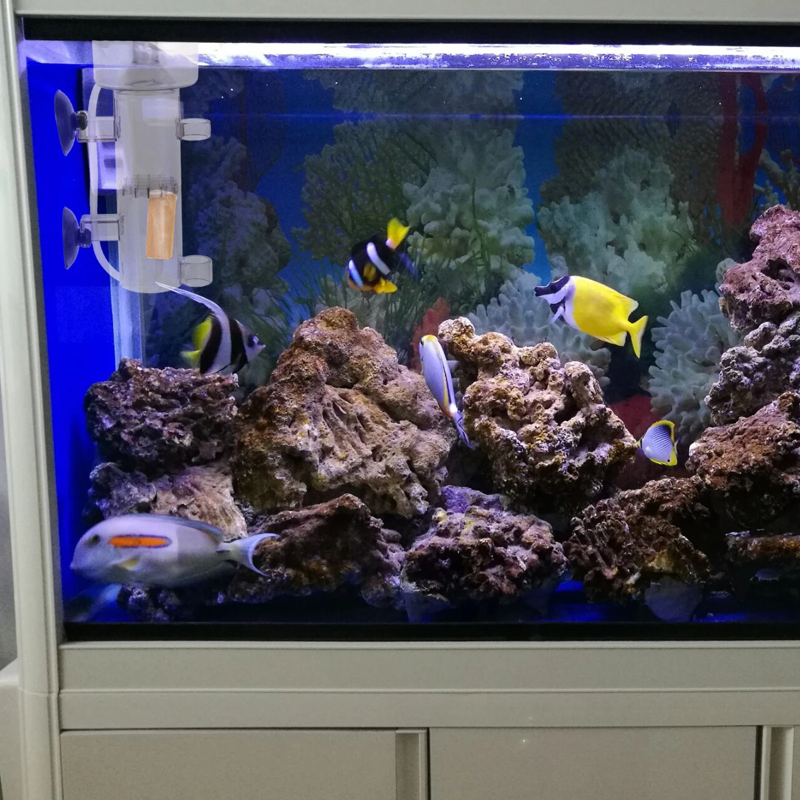 

Fish Tank Protein Skimmer Saltwater Acrylic Skimmer Durable Protein Filtration For Aquarium Cleaning Efficient Foam Separator