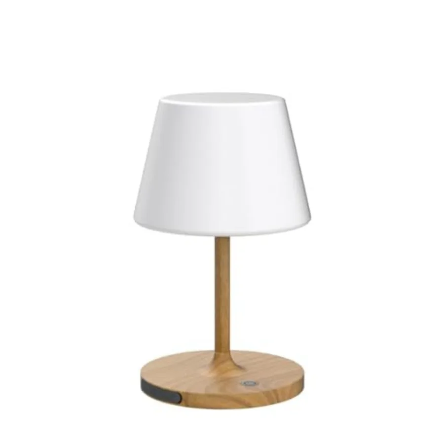 Outdoor Battery Operated Table Lamp Waterproof, 4000mAh Cordless Table Lamp Rechargeable, Touch Dimmable Desk Lamp, LED Night L view 4