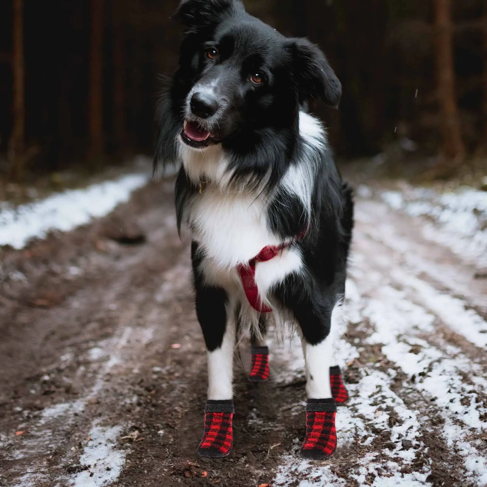 

4Pcs Premium Cotton Dog Socks Anti-Scratch Warm Pet Footwear Christmas Themed Non-Slip Paw Protection Socks for Pets Stockings