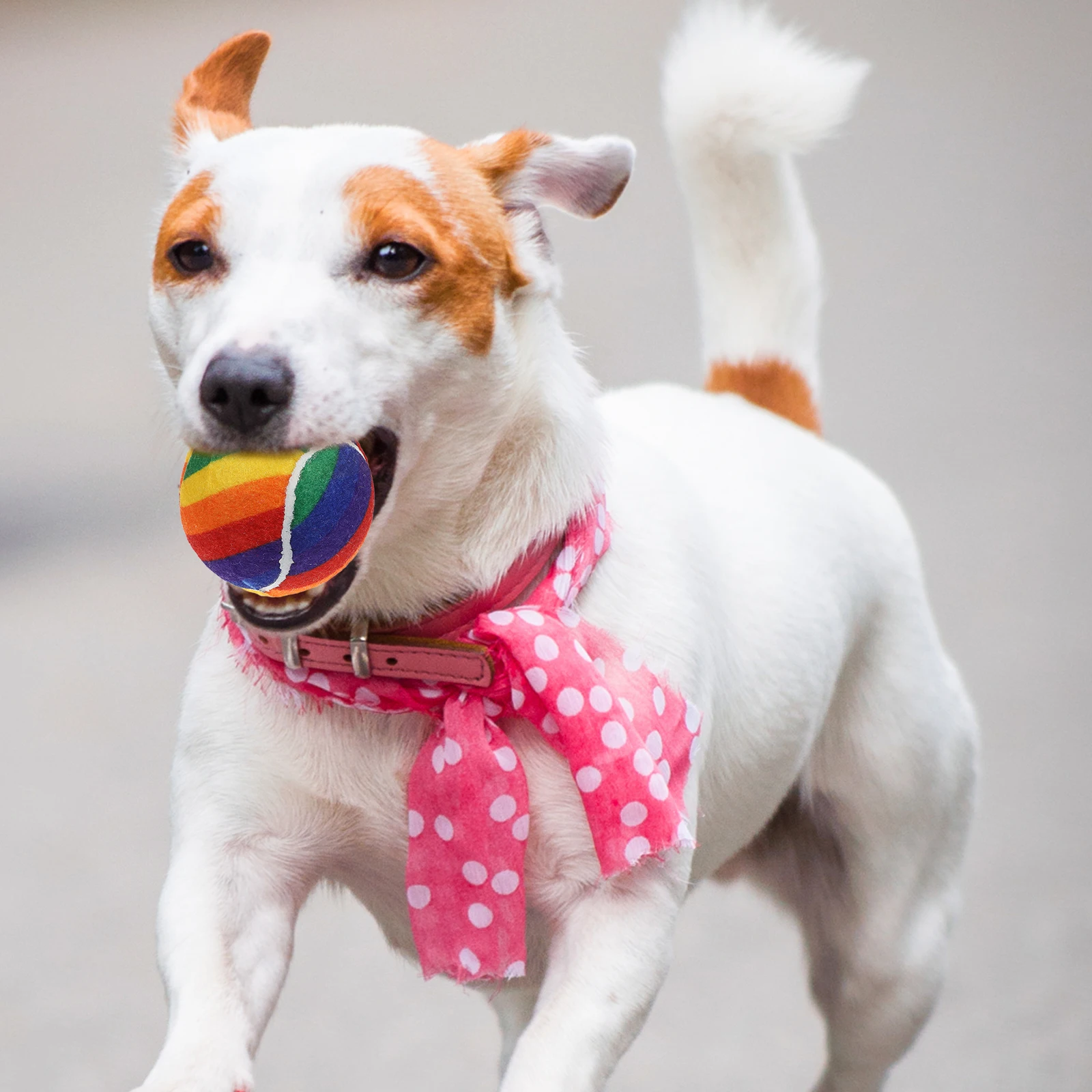 

3pcs Rainbow Tennis Balls For Dogs Elastic Rubber Training Balls Colorful Interactive Pet Durable Chew-Resistant Fetch For Small