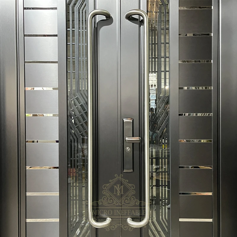 European Style Modern Design Front Exterior Double Stainless Steel Security Door