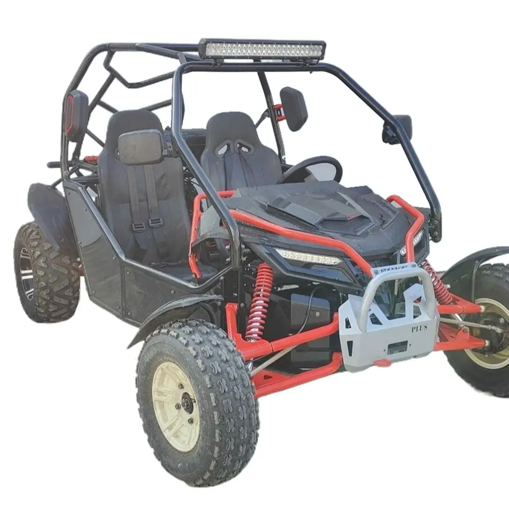 300CC 2-Seat Aggressive Design 4-Stroke Go Kart, High Torque Power Component Fashion Frame For Outdoor Racing