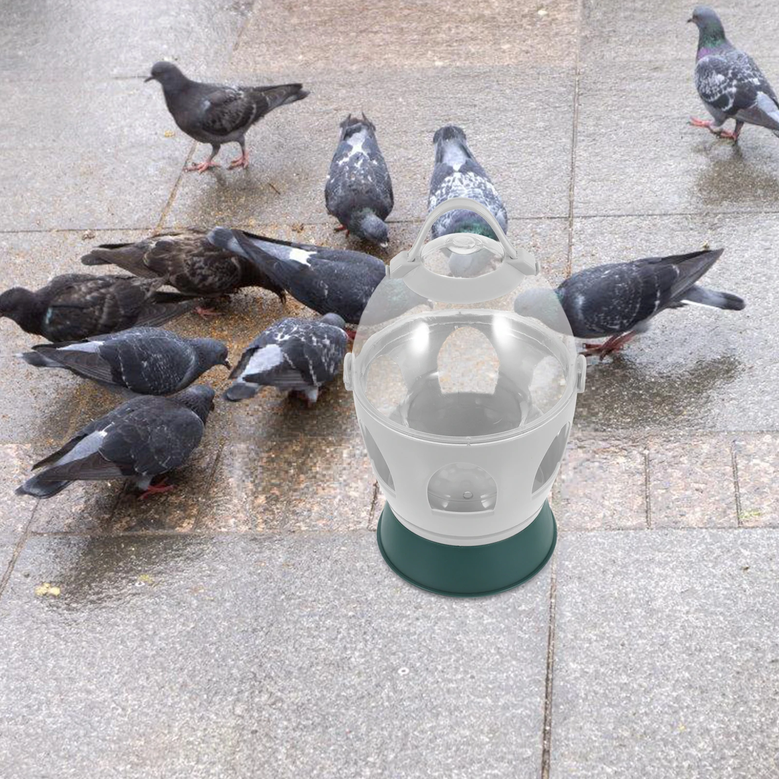 

Automatic Water Bottle Feeder for Chicken Poultry Pet Parrot Drinking Bowl Abs Poultry Food Feeder Container Suitable Chickens