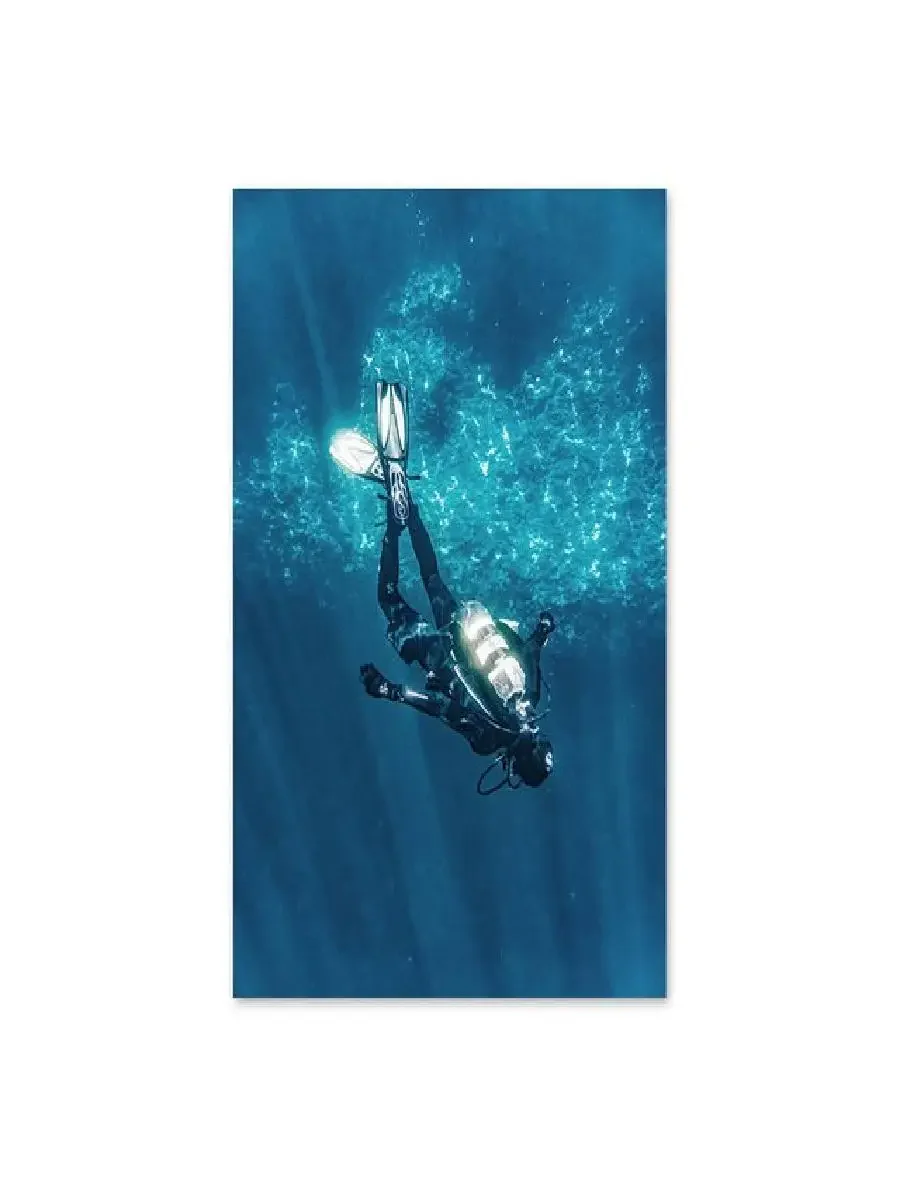 1pc frameless Canvas Painting Seascape Underwater World Diving Poster  Jellyfish Wall Art  Nordic Canvas Prints  Paintings  Home