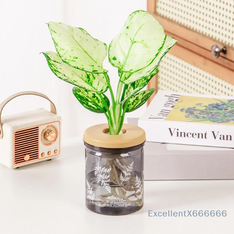 Clear Hydroponic Pot Water Planting Vase Stylish Propagation Pot Container Aquaponic Planter