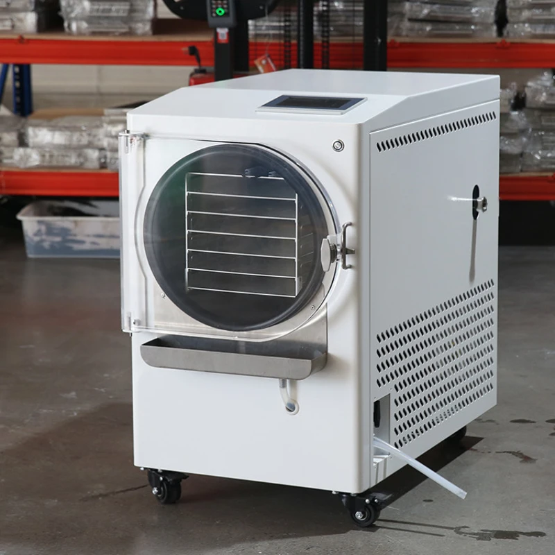 Refrigerated Vacuum Household Small Food Pet Medicine Laboratory Freeze Dryer