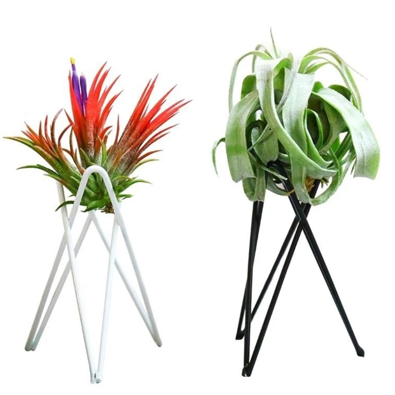 

Nordic Style Air Plant Holder Metal Flower Pot Stand Geometric Iron Tillandsia Holder Art Display Home Garden Ornament Wholesale