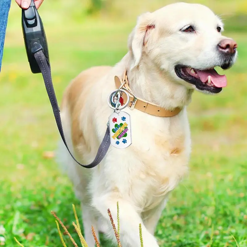 Custom Dog Tags Rectangle Stainless Steel Identification Pet Tags Lightweight Front And Back Rust-proof Dog Tags For Small Cats