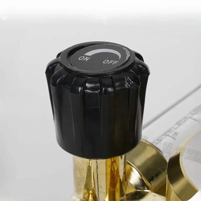 Carbon Dioxide Meter Shock Reducer 36V 110V 220V Electric Heating C02 Pressure Valve Pressure Reducing Valve