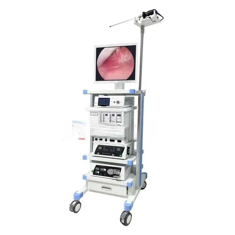 

Vet Hd Rigid Endoscope System/camer 4K Animals Portle ENT Rigid Endoscope System for Animals