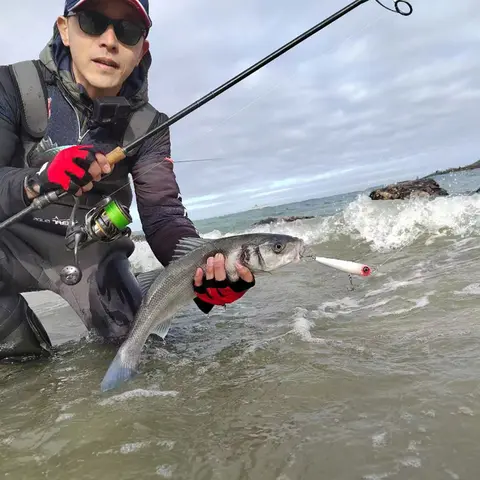 10 best sales ज़िग रिग - №5