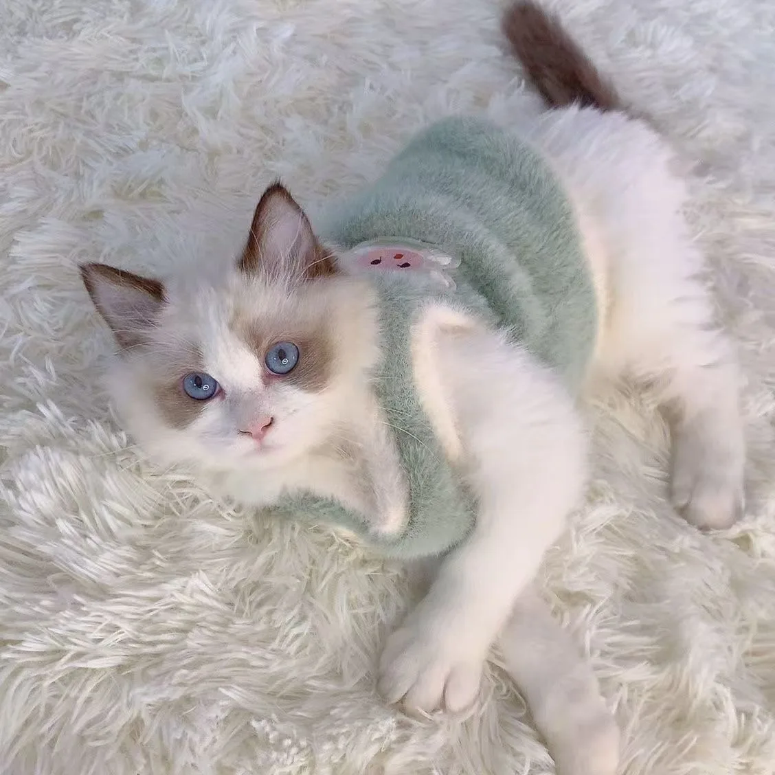 Winter Pet Cat Clothes Plush Sleeveless Teddy Vest Thickened Warm and Anti Shedding Yorkshire Cotton Coat Pet Supplies