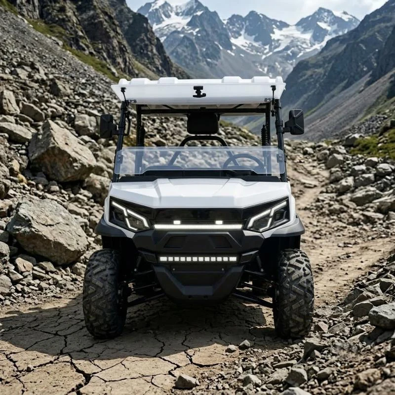 72V Lithium Battery Electric UTV 4WD 2 Seater Off-Road Utility Buggy with LED Lights for Enhanced Visibility