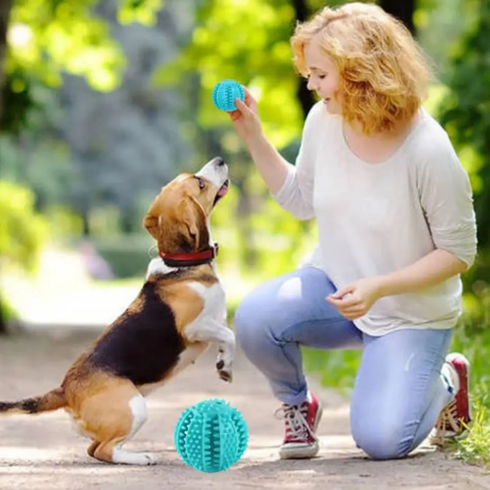 Blue Dog Leakage Food Ball TPR Bite Resistant Puppy Chew Toys Ball Candy/Fish Mouth/Ball Shape Dog Bite Resistant Toys