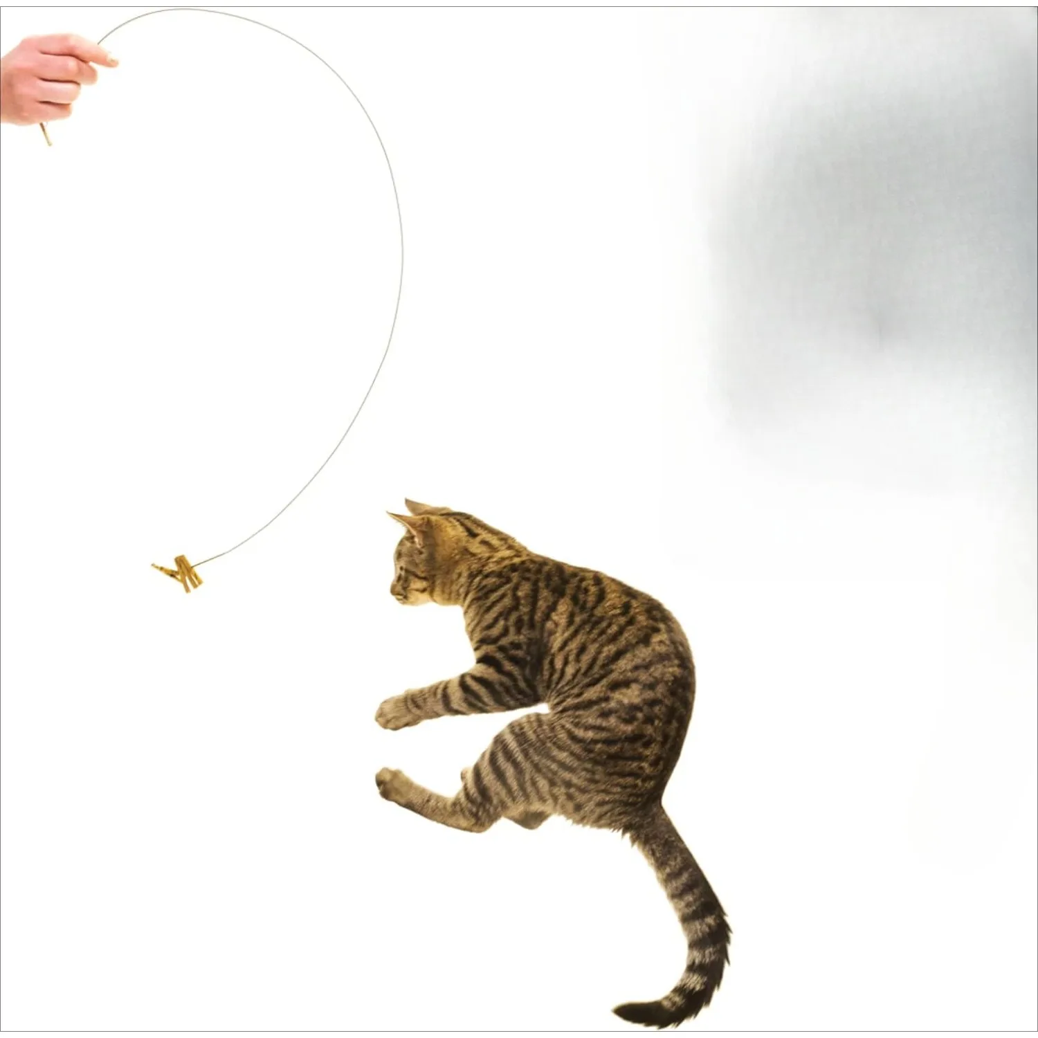 Interactive Cat Toy Laser Pointer Automatic Cat Toys for Indoor Cats Best Toys for Bored Adult Cats Kitten Wand Spring