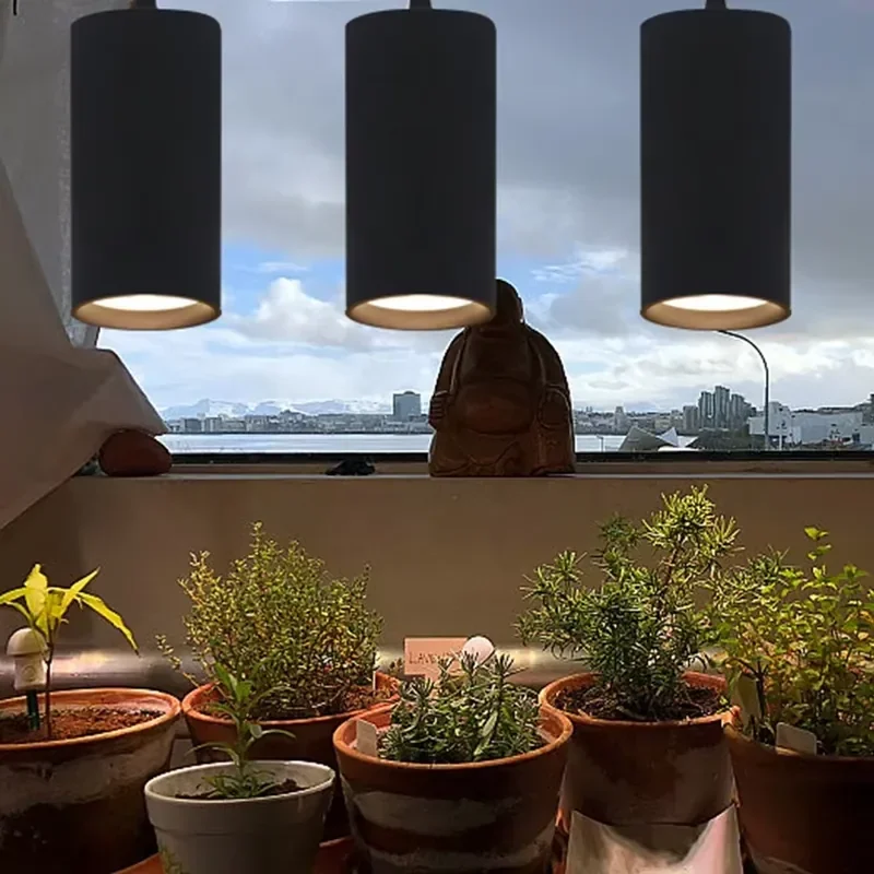For^-Dimmable Aluminum Light Emitting Diode Pendant Plant Growth Light 12w AC200-240 Monochrome Hanging Plant Plant Growth/.