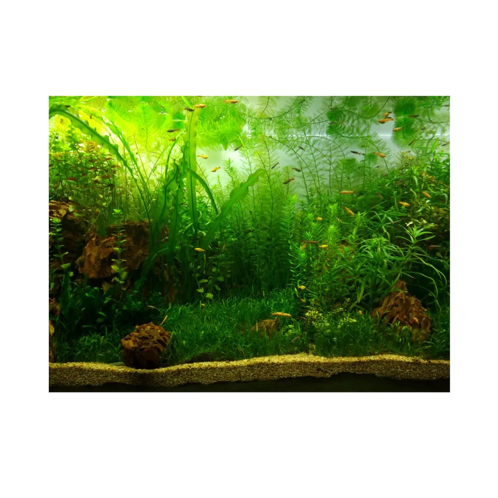 Water Grass Style Aquarium Fish Tank Background Poster PVC Adhesive Decor Sticker