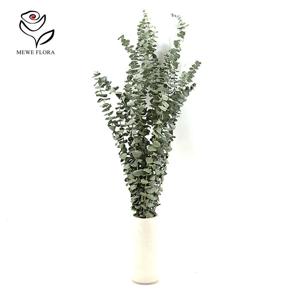 Preserved Eucalyptus Leaves Dried Green Plants Home Decoration Hanging Flowers Hotel Bathroom Flower Arrangement DIY Material
