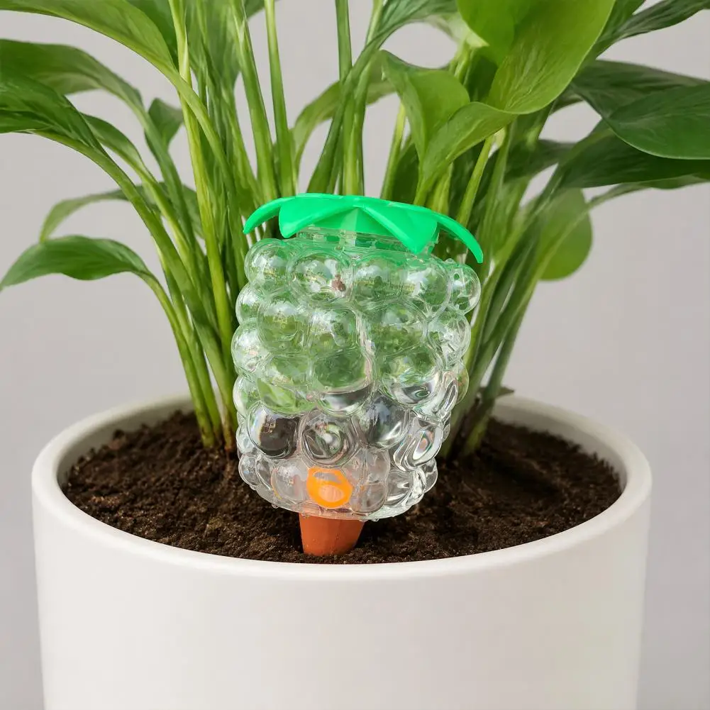 Automatic Plant Waterer Automatic Plant Watering Bulb Set Grape Shaped Self Watering Globes with Spikes Indoor Potted Plants