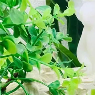 

Натуральный обсидиан, Бабочка, богиня, кварц, ручная работа, резные кристаллы ангела, камень, Исцеляющие минеральные украшения, украшение для медитации