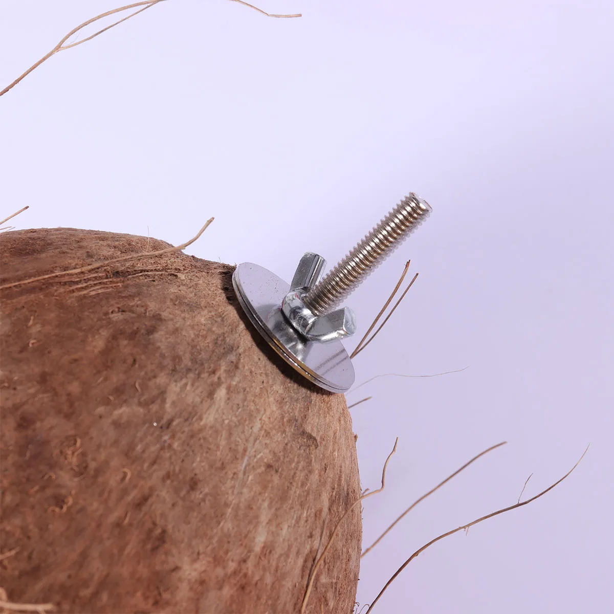 

1 Piece Coconut Shell Pet Nest Natural Hanging Cave for Hamster Squirrel Birds Small Animal Sleeping Bed Cozy Hideout